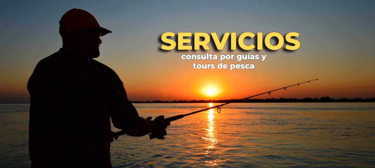 servicios de guia y tour